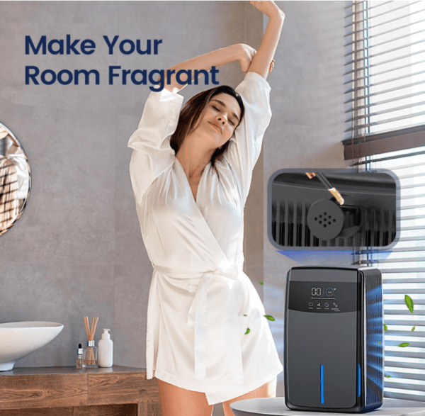 D05-01 2L Dehumidifier - Image 12